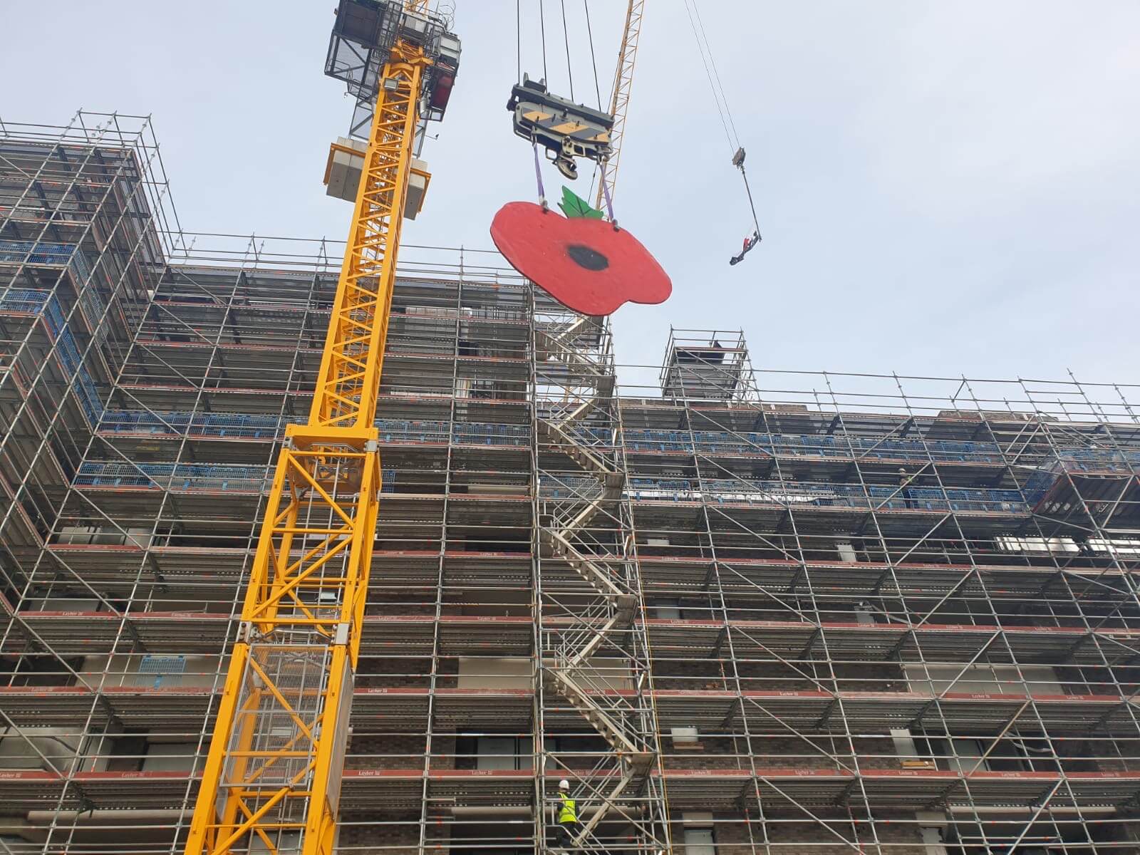 4fbd1cf6-3a3a-4c91-8be2-4b4485ee3a51-003