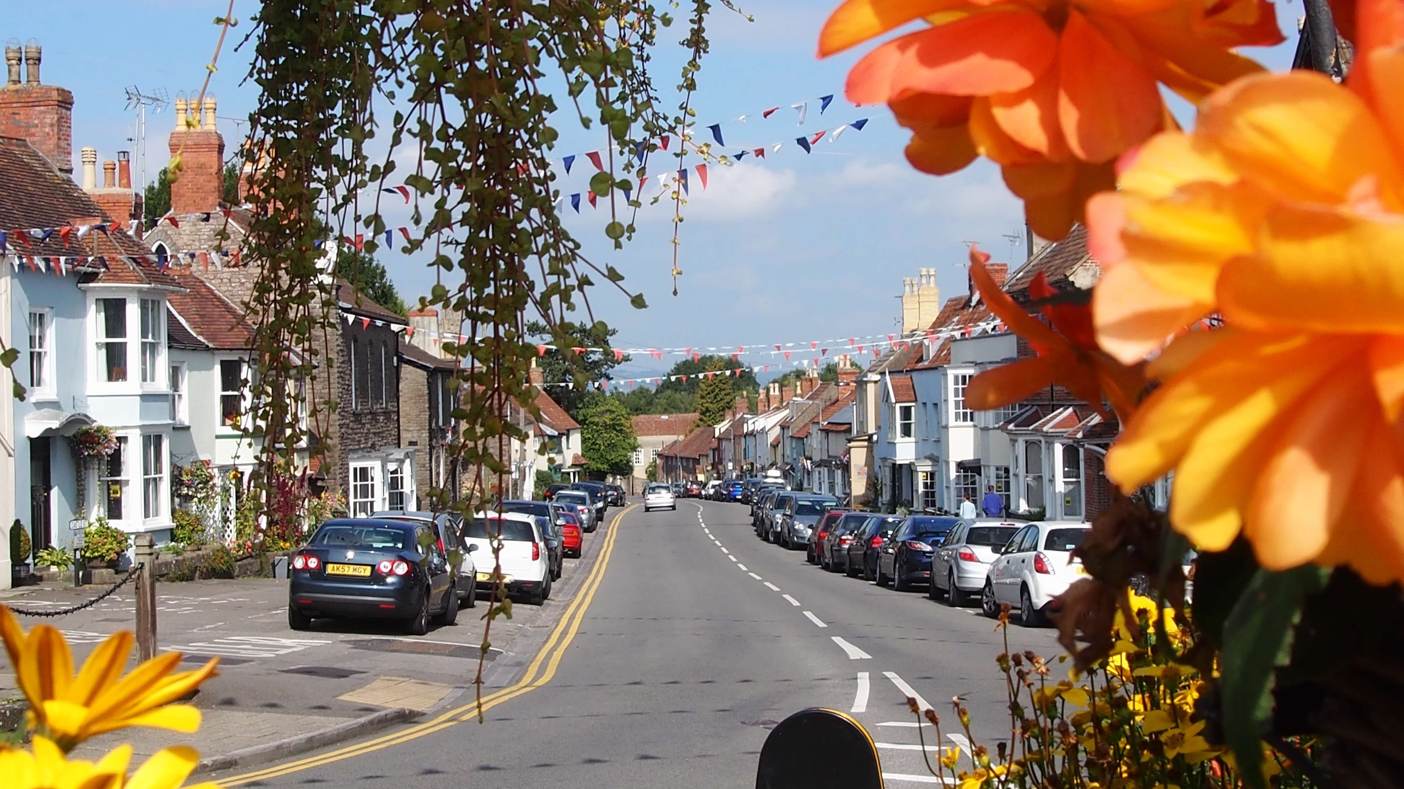 tree-pedestrian-road-street-flower-town-1331990-pxhere.com_