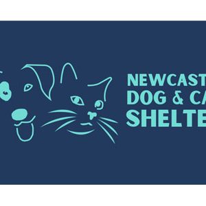 Newcastle Dog & Cat Shelter